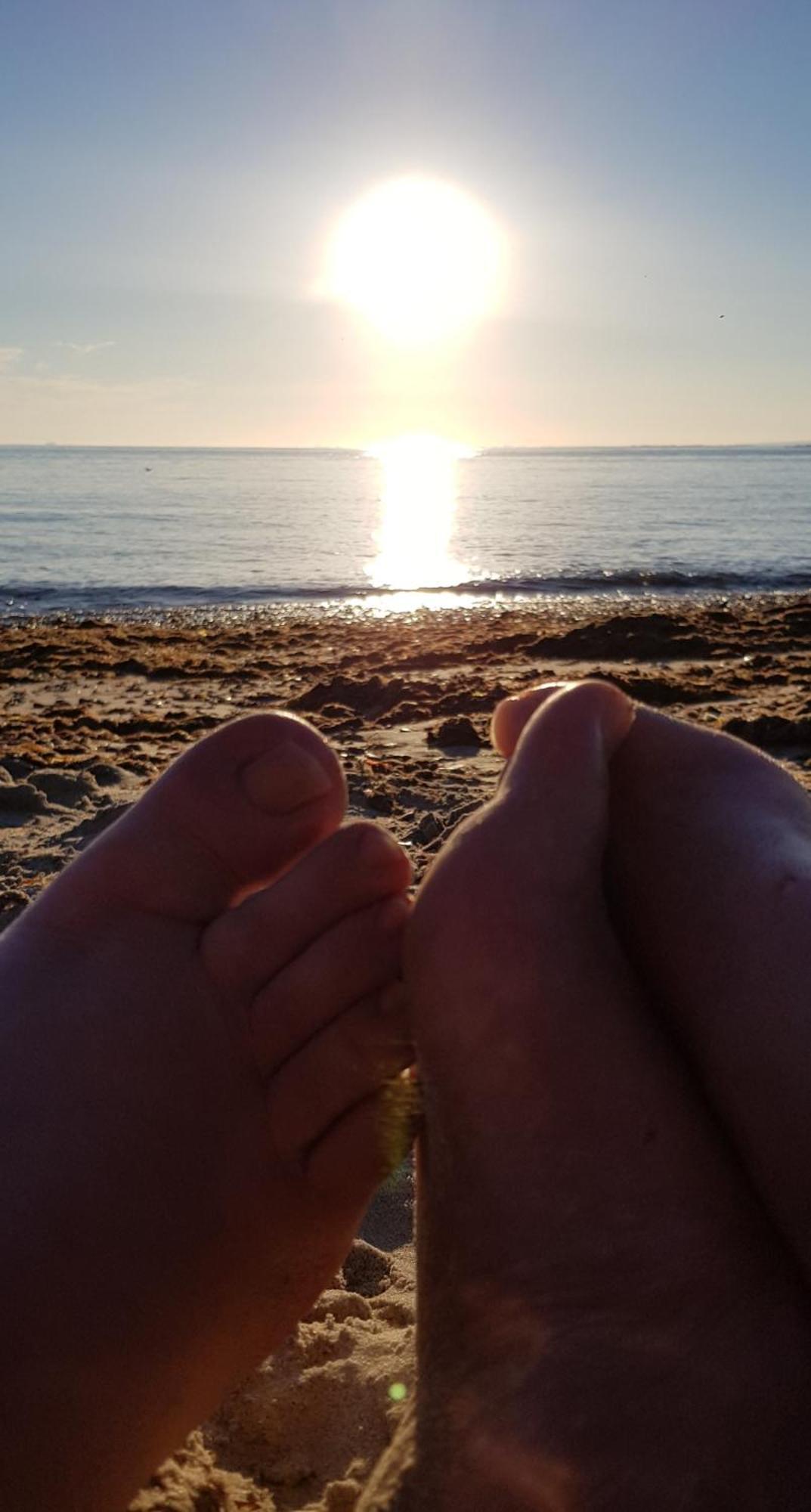 סלסי Cwtch, White Horse, Seal Bay Resort מראה חיצוני תמונה